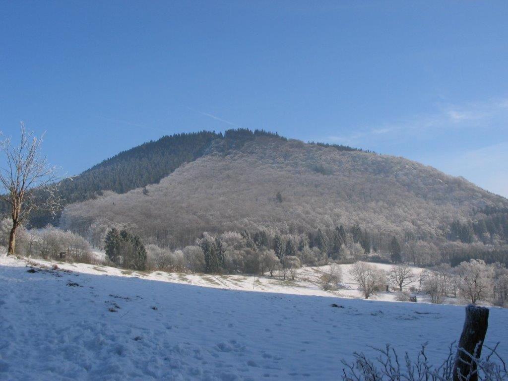 Landhotel Grimmeblick Winterberg Exterior foto